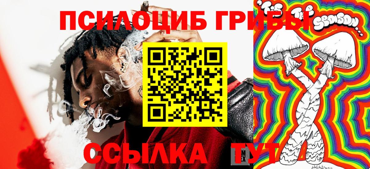 Галлюциногенные грибы GOLDEN TEACHER Нижний Новгород